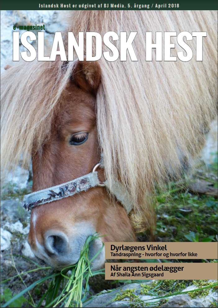 ISLANDSK HEST April-2018