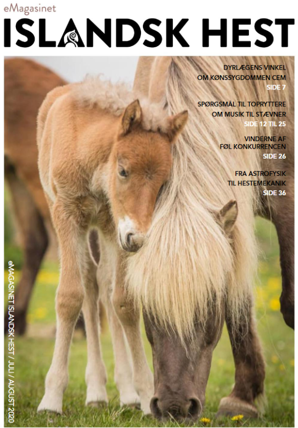 ISLANDSK HEST 2020 Arkiv Islandsk Hest