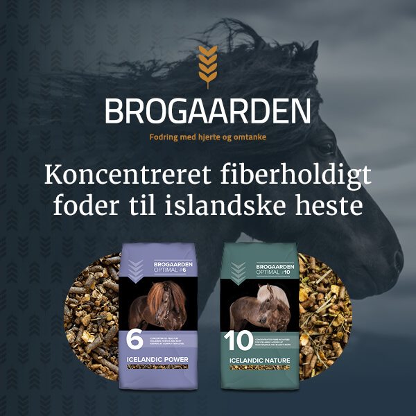 Brogaarden