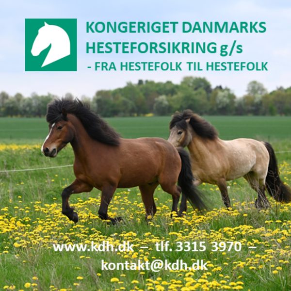 Kongeriget Danmarks hesteforsikring
