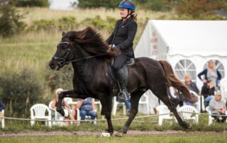 Britt og Klaki - fra rideangst til mesterskabsrytter