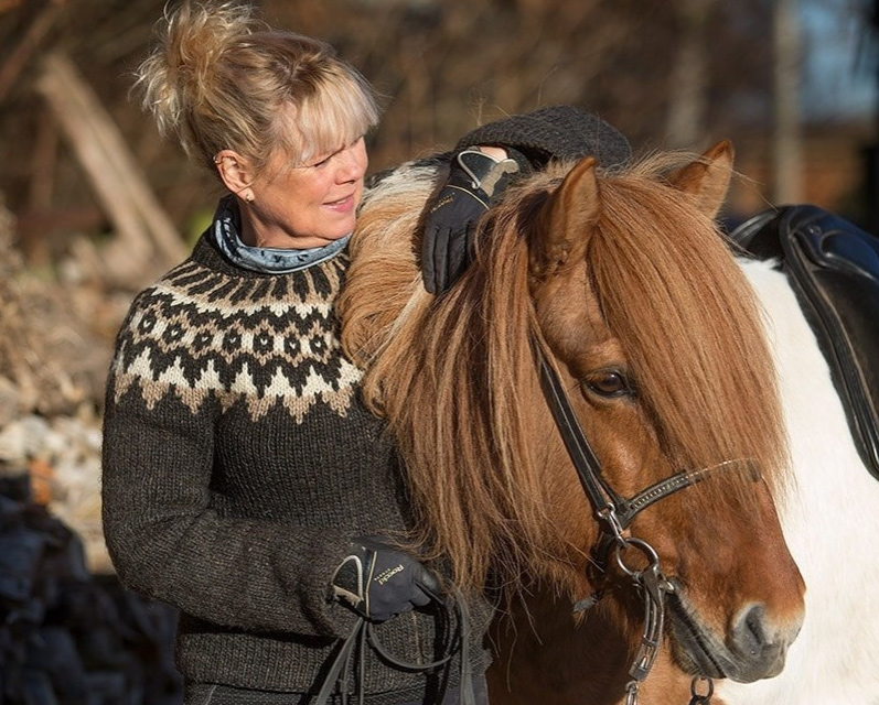 Valg af hingst til din hoppe