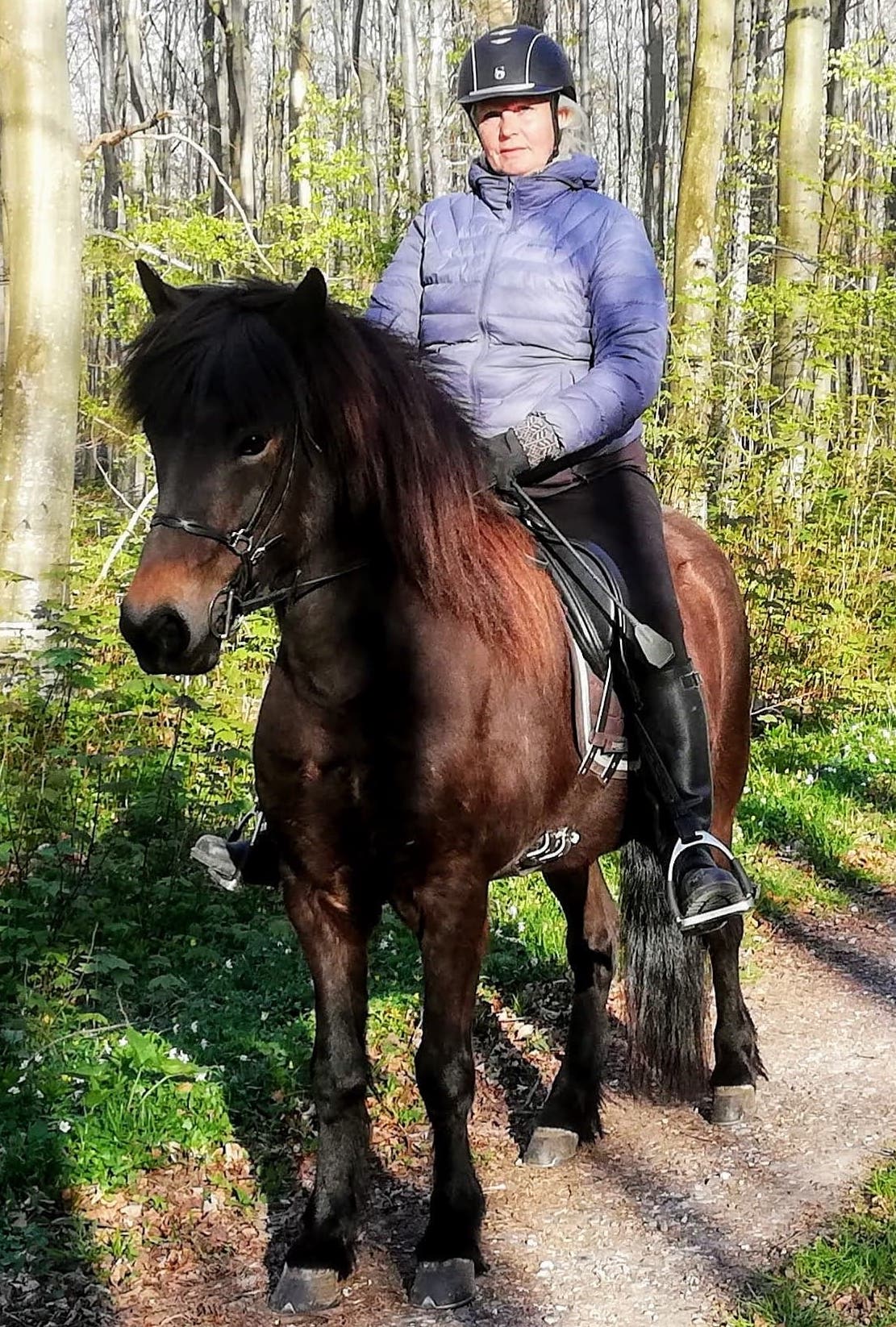 Inge Pyndt har skiftet Belgier-hestene ud med en islænder