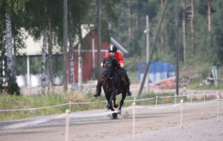 Tania Højvang