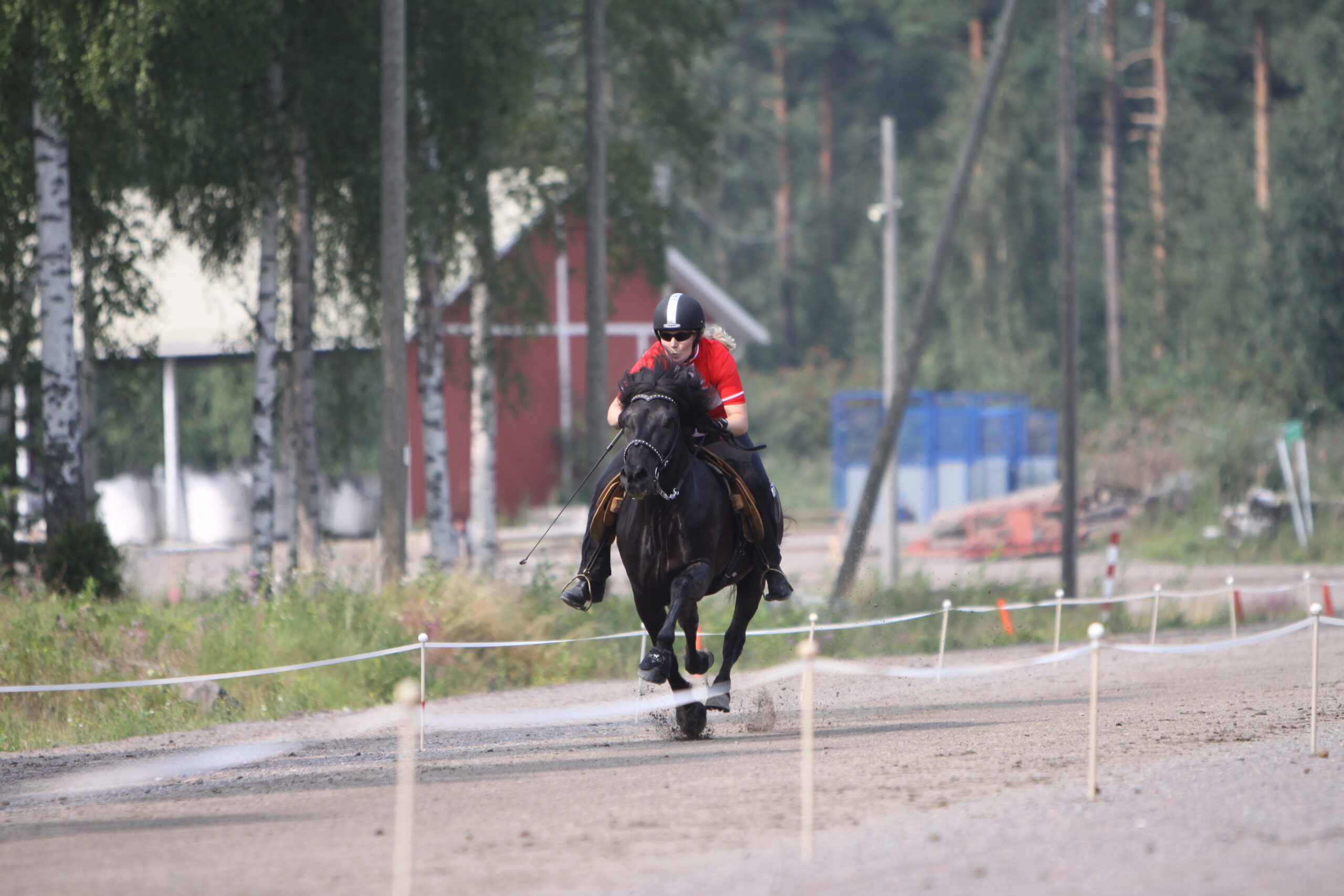 Tania Højvang