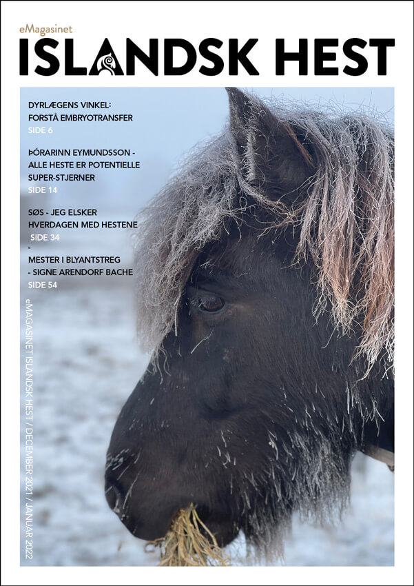 eMagasinet Islandsk hest - januar 2022