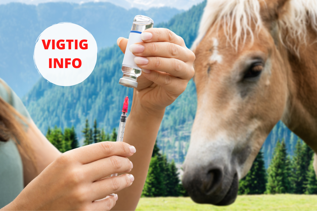 Vigtig info om vaccinationsregler