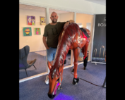 Blogindlæg -Manden bag LumenLight Horse