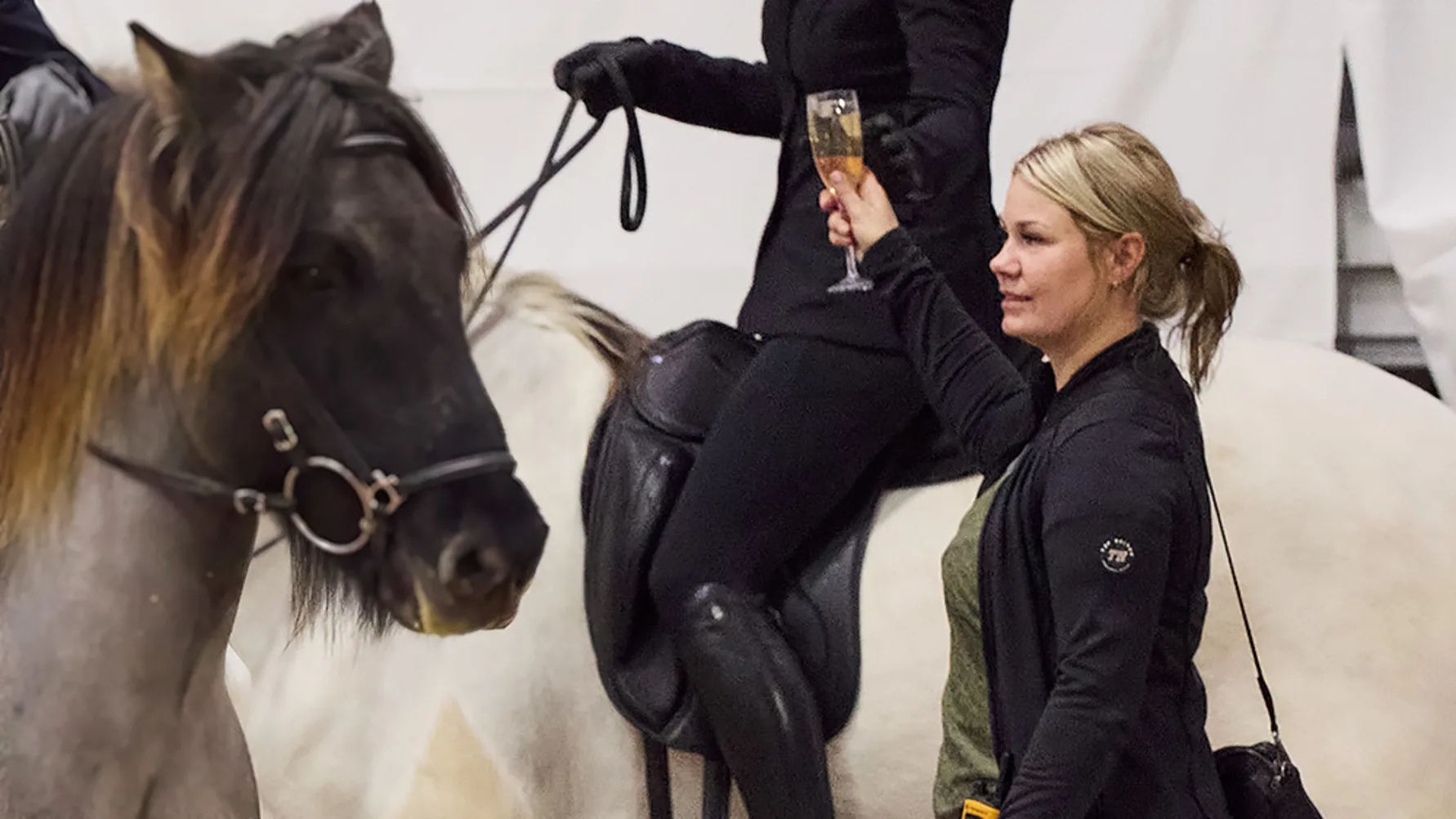 Blogindlæg stævne islandske heste