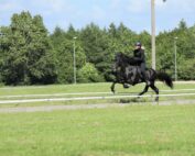 Blogindlæg-første fuldkåring