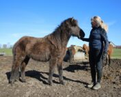 Blog-indlæg Jette Gram