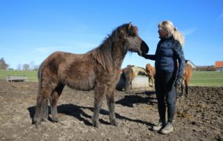 Blog-indlæg Jette Gram