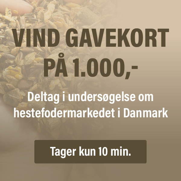 Brogaarden