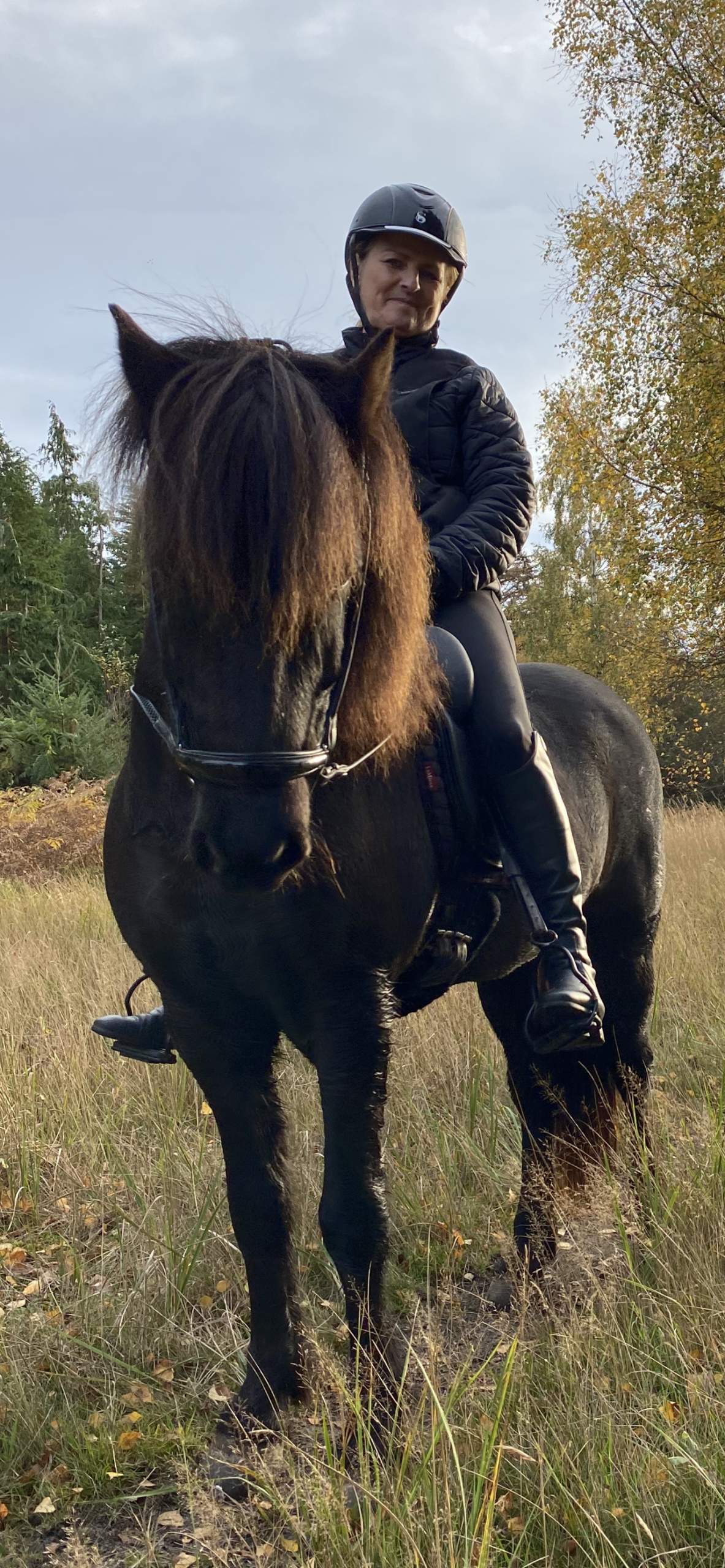 blogindlæg - lad mobilen blive hjemme på rideturen