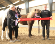 Blogindlæg-følshow