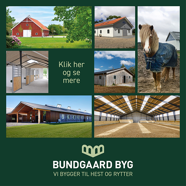 Bundgaard byg - vi bygger til hest og rytter