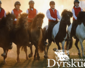 Roskilde Dyrskue