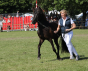 Jette Saltoft Gram fremviser Hella fra Høbjærg Hus.