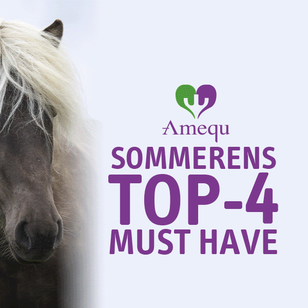 Amequ - Go serien - hestefoder fra Dangro Nordic
