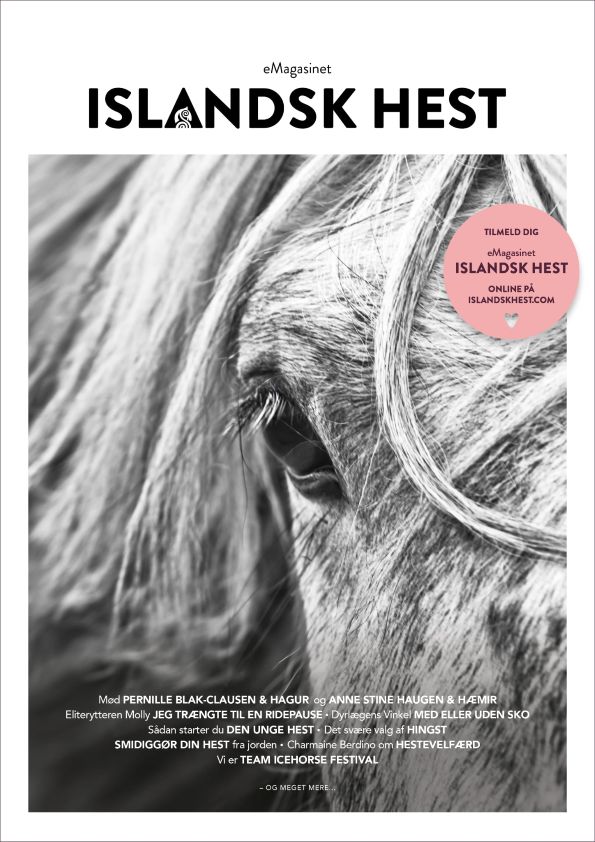 islandsk-hest-marts25 eMagasinet Islandsk Hest - marts 2025