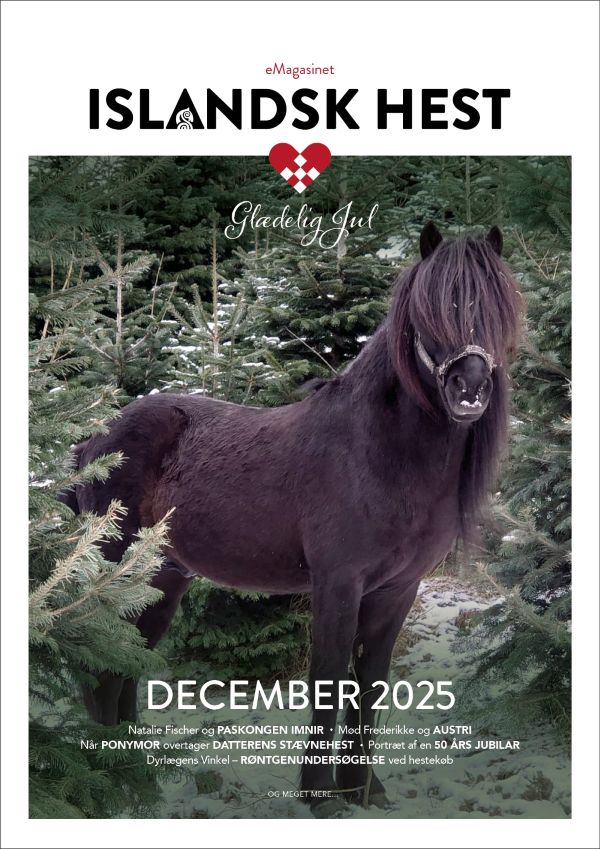 emagasinet islandsk hest december 2025 eMagasinet Islandsk Hest - december 2025. Gratis heste magasin om Islandske heste.