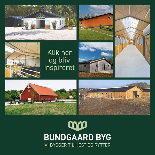 Bundgaard byg - vi bygger til hest og rytter
