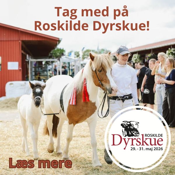 Sommeren starter på Roskilde Dyrskue 29. - 31. maj 2026
