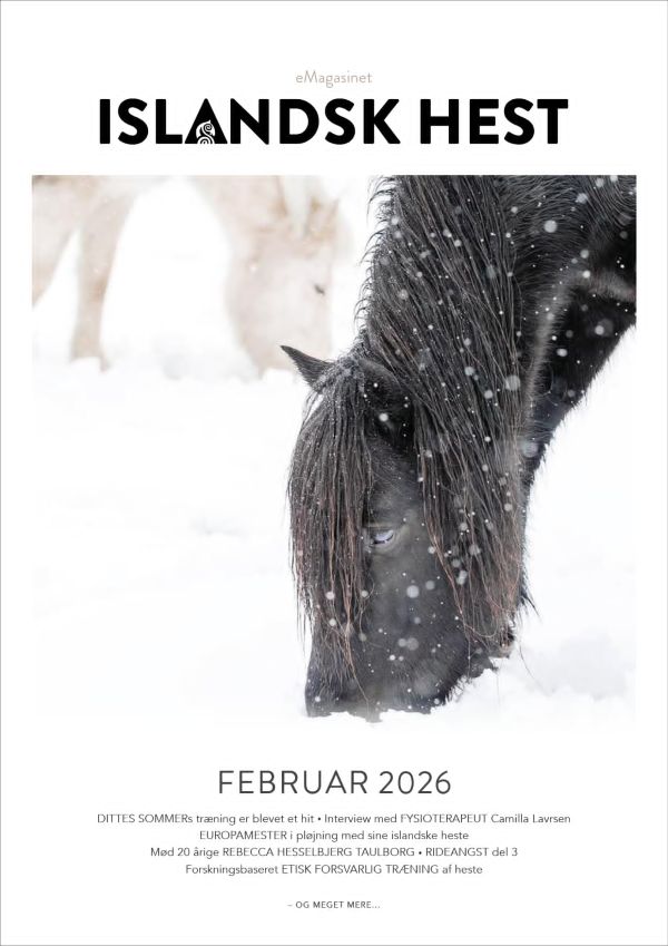eMagasinet Islandsk Hest - februar 2026